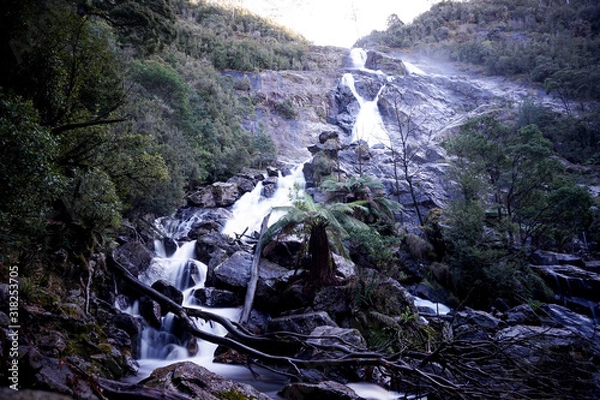 Fototapeta St Columba Waterfall in Tasmania, Australia