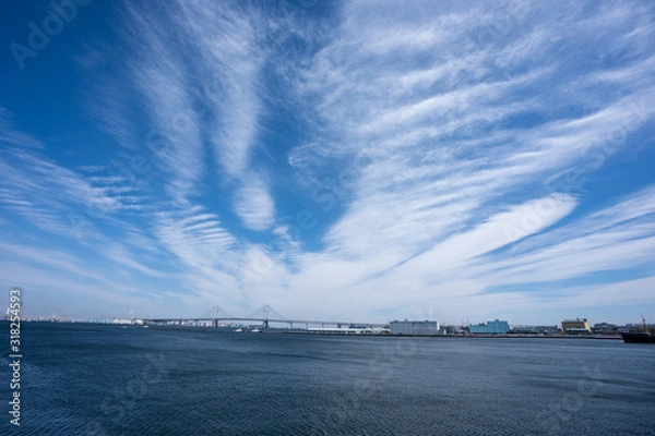 Obraz 空と道の写真