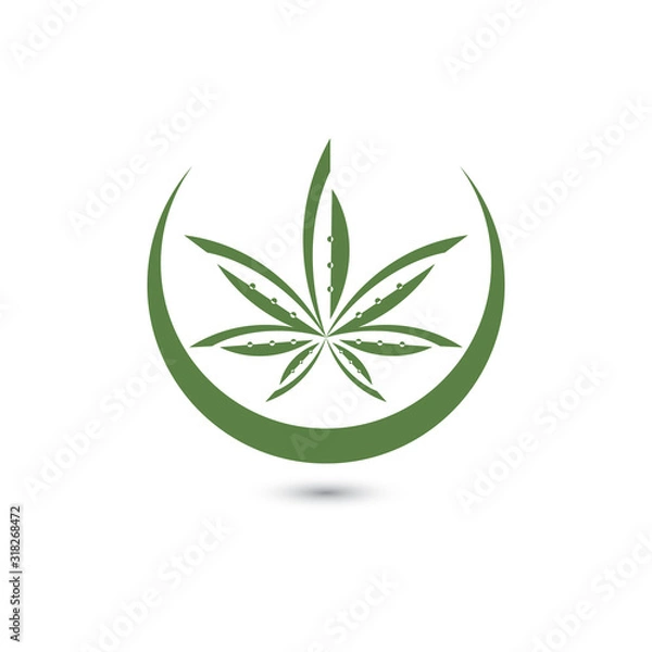 Obraz Canabis leaf vector illustration icon design