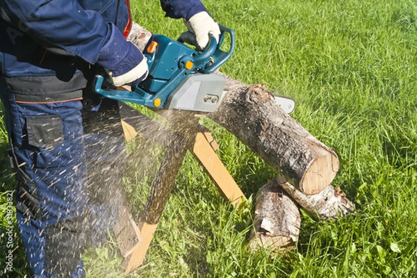 Obraz Man with chainsaw
