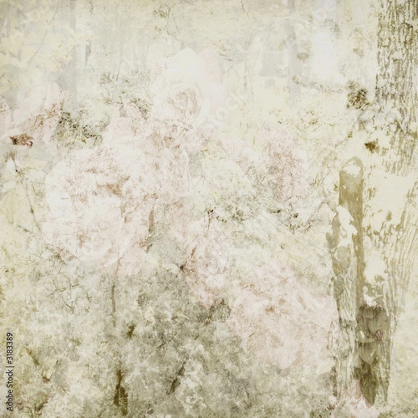 Obraz subdued, grunge background