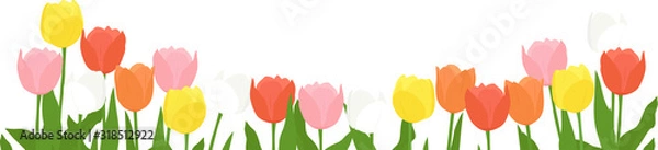 Obraz チューリップ