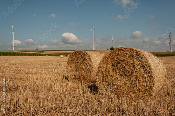 Fototapeta Strohballen