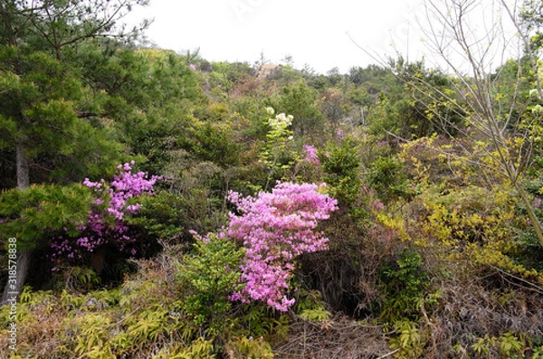 Obraz いい景色２