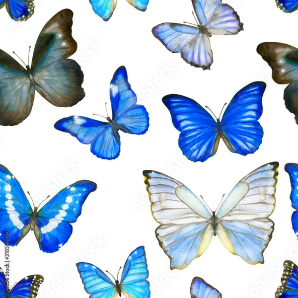Fototapeta Hand drawn watercolor seamless pattern with butterflies Morpho on white
