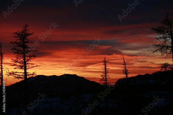 Obraz Colorful Sunset