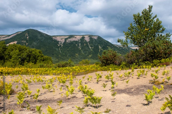 Fototapeta Kamchatka