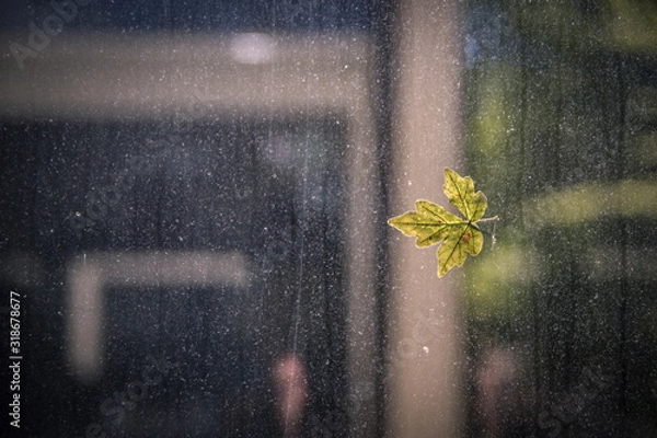Obraz rain on the window