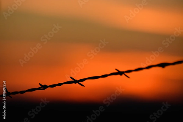 Obraz Barb wire fence and sunset