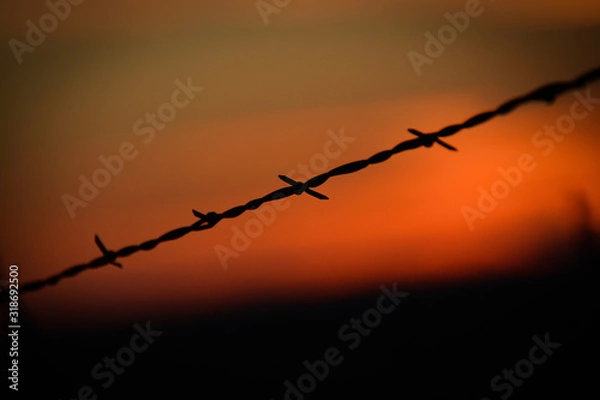Obraz Barb Wire Fence at an angle