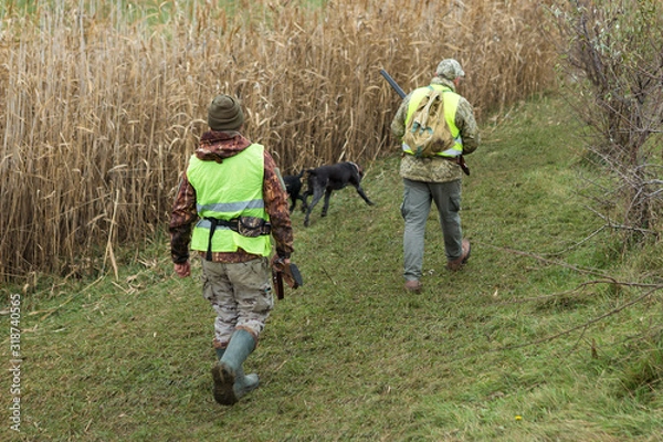 Fototapeta Hunting period, autumn season open. A hunter with a gun in his hands in hunting clothes in the autumn forest in search of a trophy. A man stands with weapons and hunting dogs tracking down the game...
