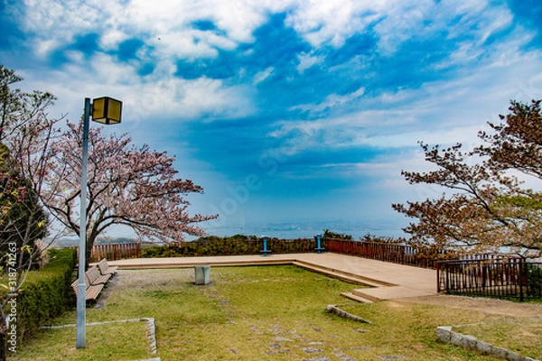 Fototapeta お花見