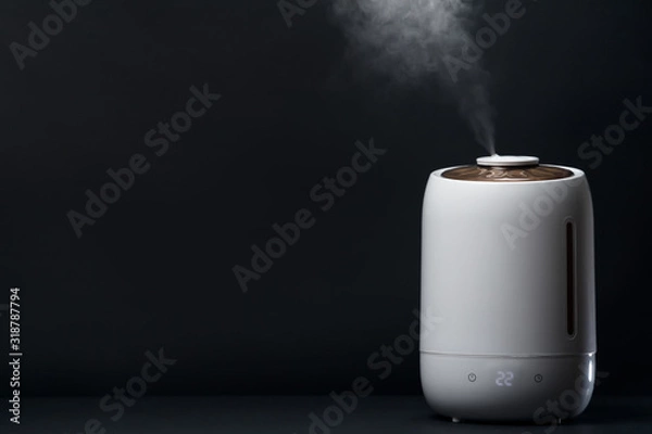 Obraz White air humidifier during work clean air and vaporizes steam up. Moistening of dry air. Improving the well-being and comfort of people. Care about health of persons. Aromatherapy at home. 