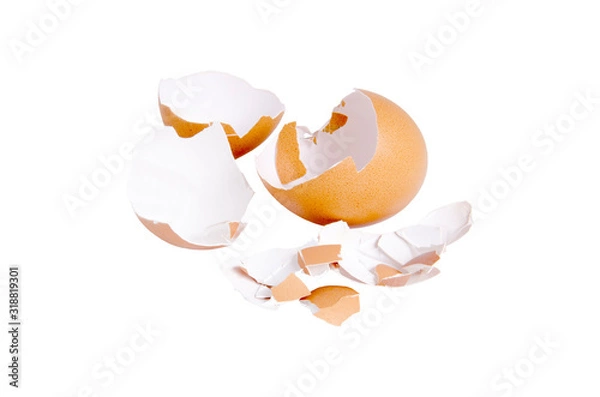 Fototapeta Broken split egg shell