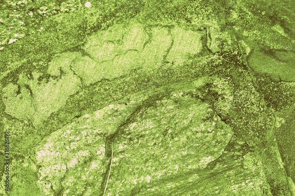 Fototapeta Stone path in the garden close-up . Abstract background green color toned