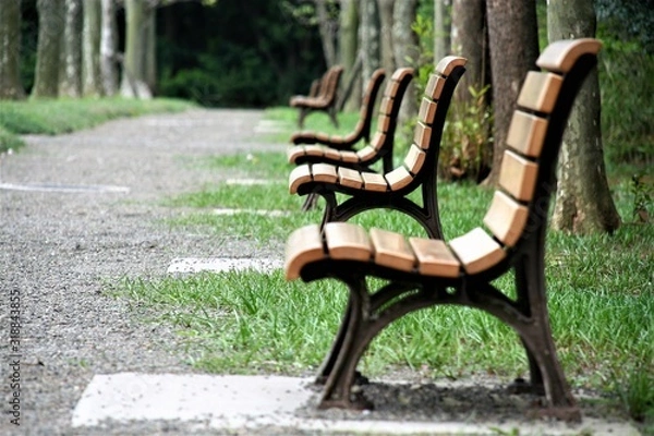 Obraz 公園のベンチ