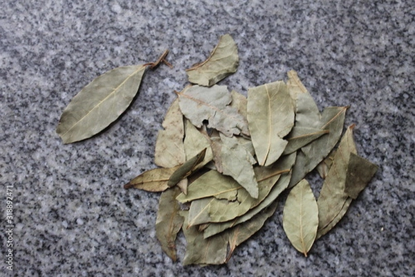 Obraz Bay leaf on a granny table
