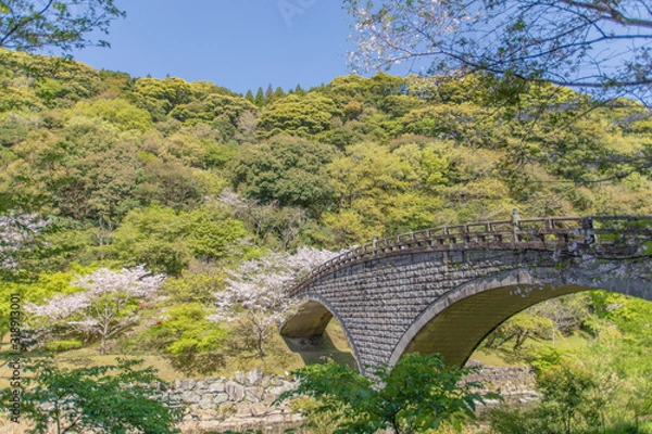 Obraz 春の鹿児島にて石橋と桜の風景