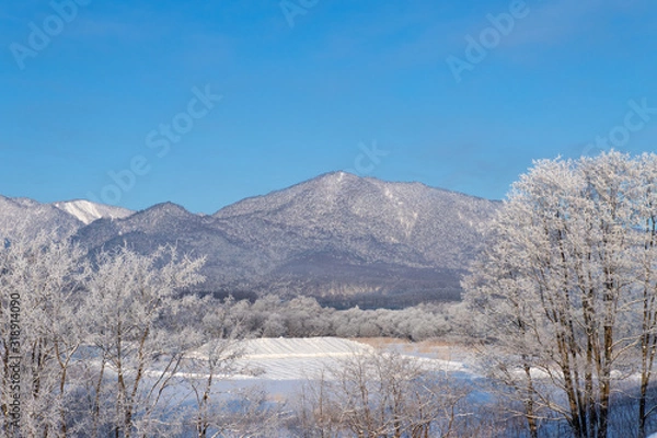 Fototapeta 美しい富良野の樹氷　北海道