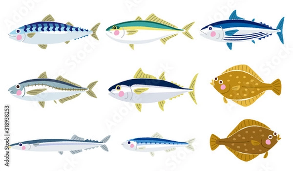 Obraz いろいろな魚のイラスト
