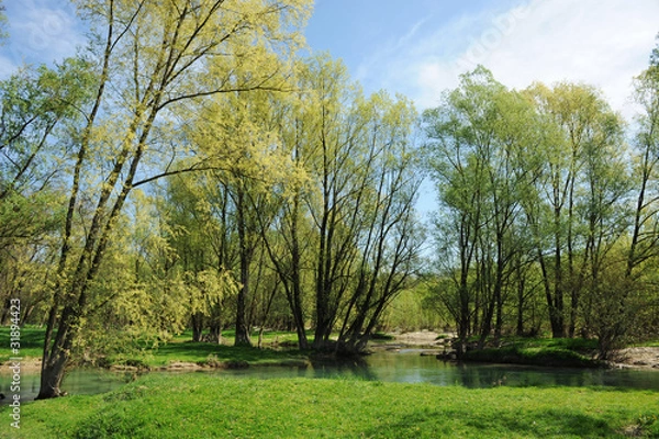 Obraz paesaggio alberi 1561