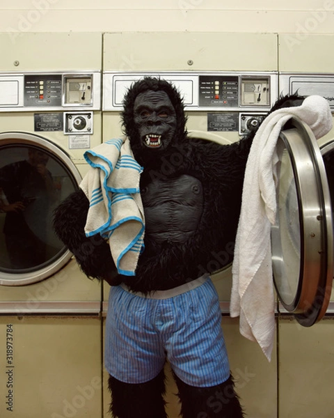 Obraz Responsible Gorilla Doing Laundry