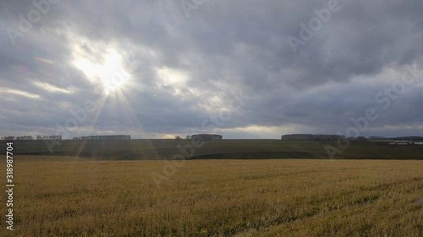 Obraz sunset over wheat field