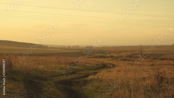 Obraz sunset over fields