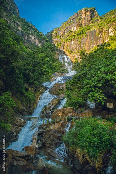 Obraz waterfall in forest