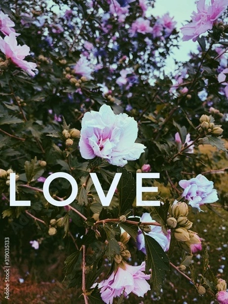 Obraz Processed with VSCO with p5 preset