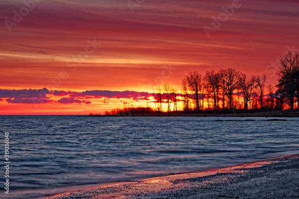 Obraz Sunset Through The Trees