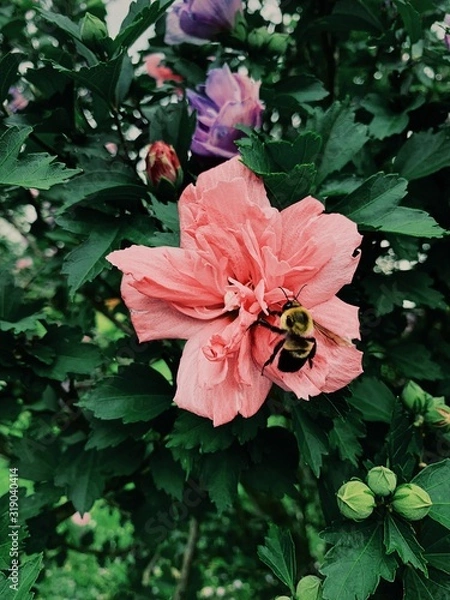 Obraz Processed with VSCO with g3 preset