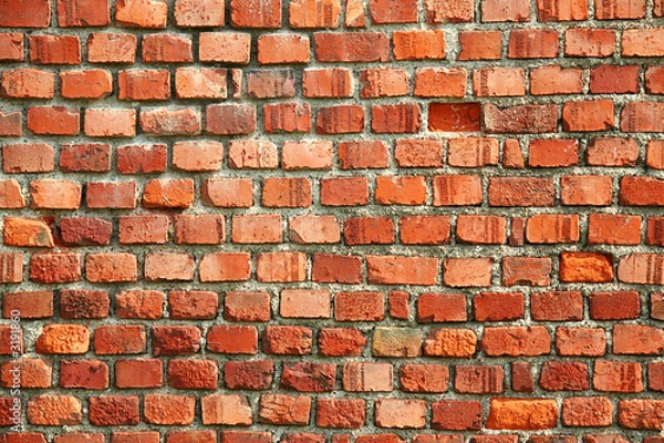 Fototapeta muro