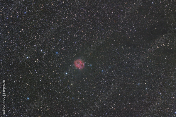 Obraz Cocoon Nebula