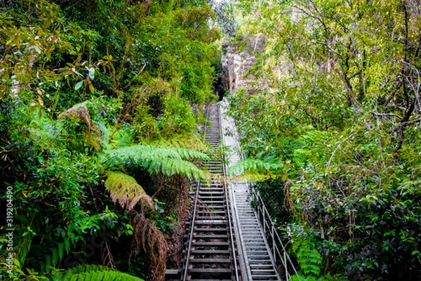Obraz A beautiful jungle scenic railway at Blue Mountain National Park