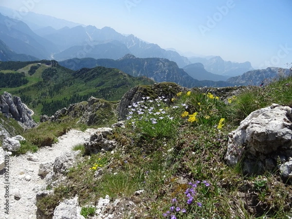 Obraz mountain landscape with flowers