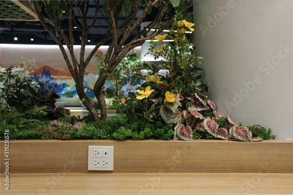 Obraz Plug Socket on the Wall with Pastel Background/Flower