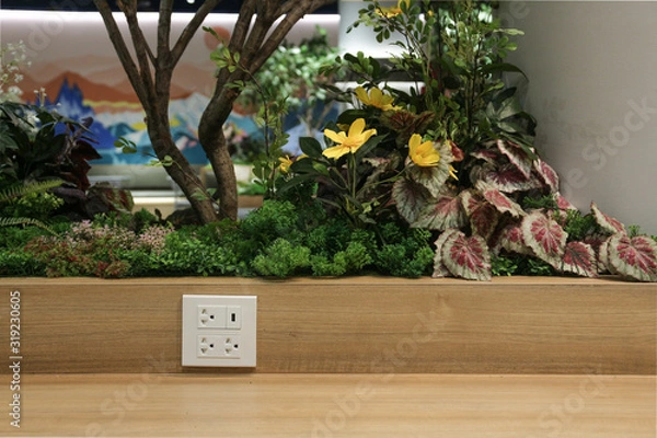 Obraz Plug Socket on the Wall with Pastel Background/Flower