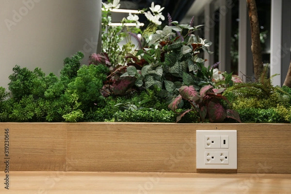 Obraz Plug Socket on the Wall with Pastel Background/Flower