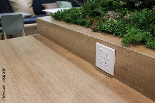 Obraz Plug Socket on the Wall with Pastel Background/Flower