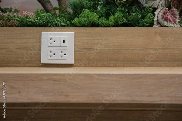 Obraz Plug Socket on the Wall with Pastel Background/Flower