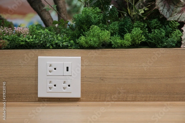 Obraz Plug Socket on the Wall with Pastel Background/Flower