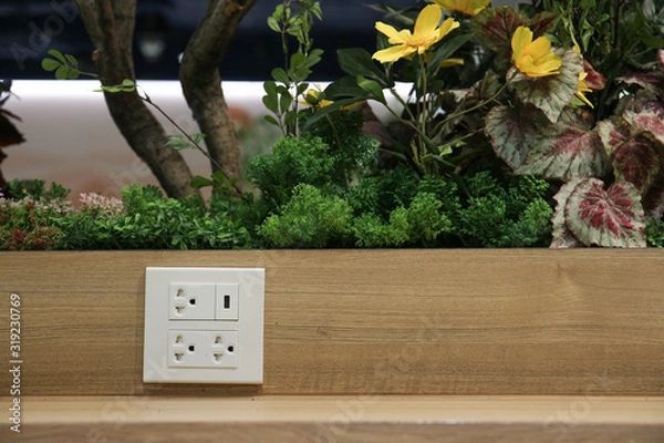 Obraz Plug Socket on the Wall with Pastel Background/Flower