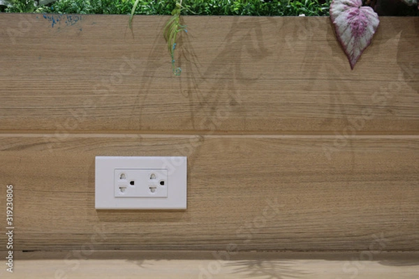 Obraz Plug Socket on the Wall with Pastel Background/Flower