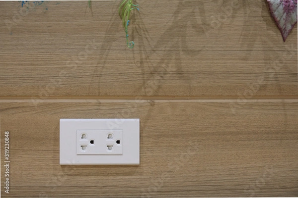 Obraz Plug Socket on the Wall with Pastel Background/Flower