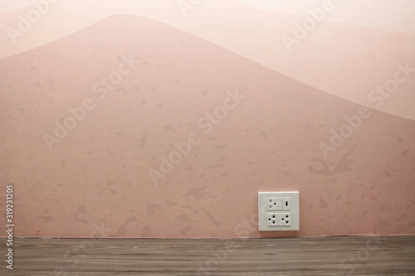 Obraz Plug Socket on the Wall with Pastel Background/Flower