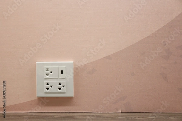 Obraz Plug Socket on the Wall with Pastel Background/Flower