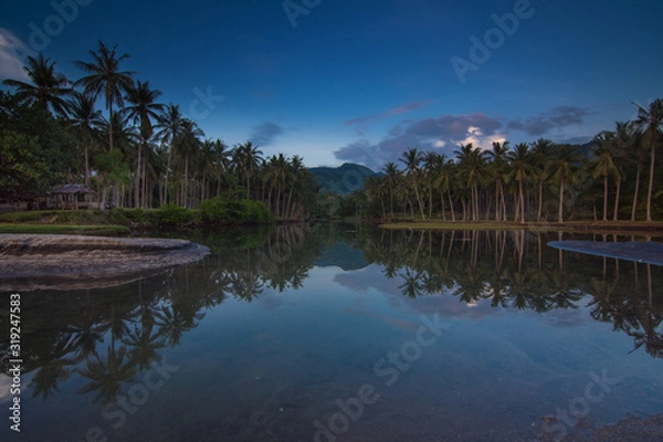 Fototapeta reflection of trees in water