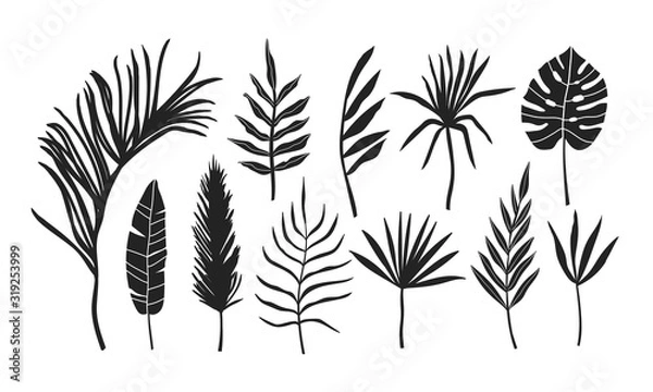 Fototapeta Set of palm leaves silhouettes isolated on white background. Illustration for invitation, banner, greeting card design