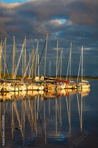 Obraz harbour evening